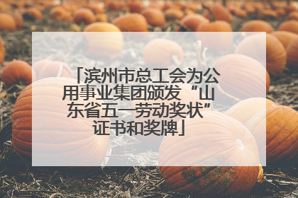滨州市总工会为公用事业集团颁发“山东省五一劳动奖状”证书和奖牌