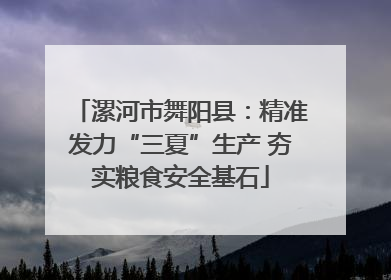 漯河市舞阳县：精准发力“三夏”生产 夯实粮食安全基石