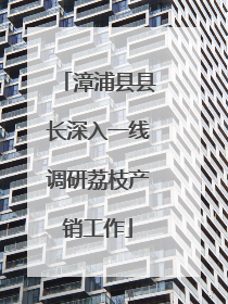 漳浦县县长深入一线调研荔枝产销工作
