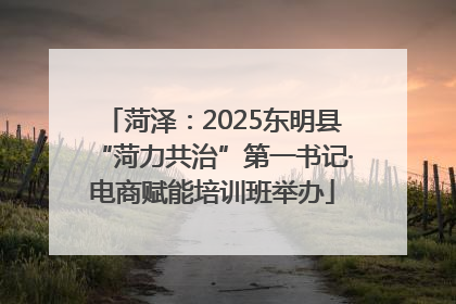 菏泽：2025东明县“菏力共治”第一书记·电商赋能培训班举办