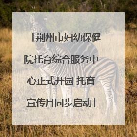 荆州市妇幼保健院托育综合服务中心正式开园 托育宣传月同步启动