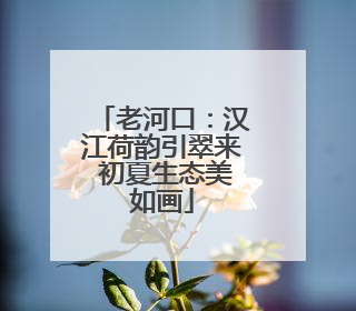 老河口：汉江荷韵引翠来 初夏生态美如画