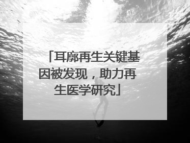 耳廓再生关键基因被发现，助力再生医学研究