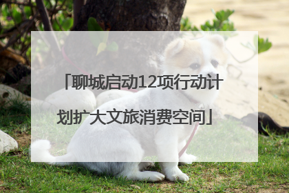 聊城启动12项行动计划扩大文旅消费空间