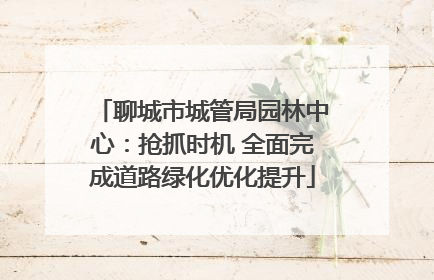聊城市城管局园林中心：抢抓时机 全面完成道路绿化优化提升