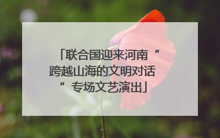 联合国迎来河南“跨越山海的文明对话”专场文艺演出