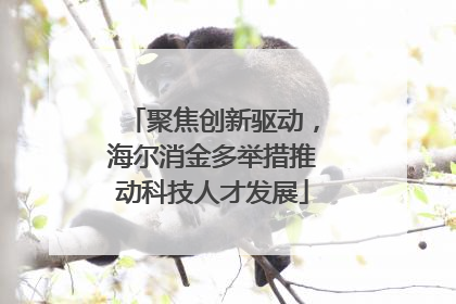 聚焦创新驱动，海尔消金多举措推动科技人才发展
