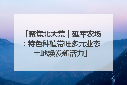聚焦北大荒｜延军农场：特色种植带旺多元业态 土地焕发新活力