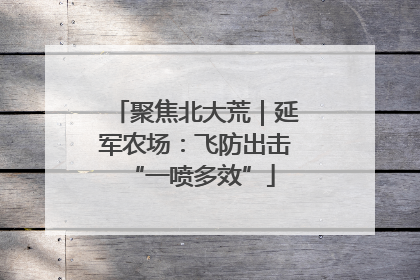 聚焦北大荒｜延军农场：飞防出击 “一喷多效”