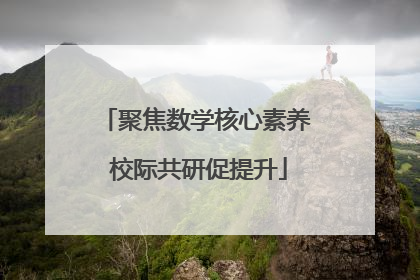 聚焦数学核心素养 校际共研促提升