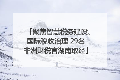 聚焦智慧税务建设、国际税收治理 29名非洲财税官湖南取经