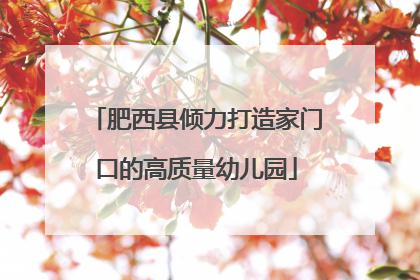 肥西县倾力打造家门口的高质量幼儿园