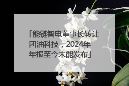 能链智电董事长转让团油科技，2024年年报至今未能发布