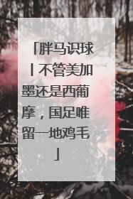 胖马识球丨不管美加墨还是西葡摩，国足唯留一地鸡毛