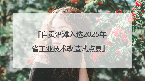 自贡沿滩入选2025年省工业技术改造试点县