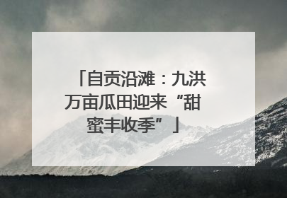 自贡沿滩：九洪万亩瓜田迎来“甜蜜丰收季”