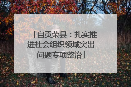 自贡荣县：扎实推进社会组织领域突出问题专项整治