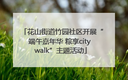 花山街道竹园社区开展“端午嘉年华 粽享city walk”主题活动