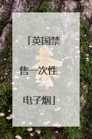 英国禁售一次性电子烟
