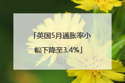 英国5月通胀率小幅下降至3.4%