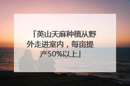 英山天麻种植从野外走进室内，每亩提产50%以上