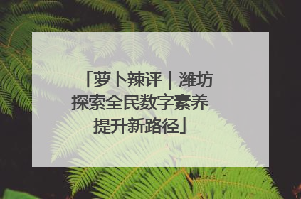 萝卜辣评｜潍坊探索全民数字素养提升新路径