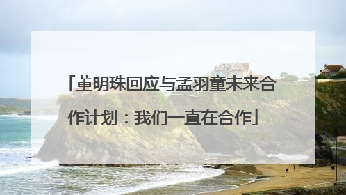 董明珠回应与孟羽童未来合作计划：我们一直在合作