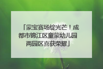 蒙宝赛场绽光芒！成都市锦江区童蒙幼儿园两园区喜获荣耀