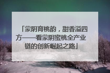 蒙阴育桃韵，甜香溢四方——看蒙阴蜜桃全产业链的创新崛起之路