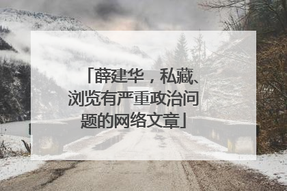 薛建华，私藏、浏览有严重政治问题的网络文章