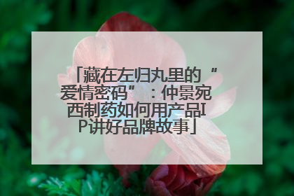 藏在左归丸里的“爱情密码”：仲景宛西制药如何用产品IP讲好品牌故事
