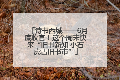 诗书西城——6月底收官！这个周末快来“旧书新知·小石虎古旧书市”