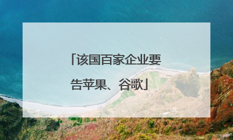 该国百家企业要告苹果、谷歌