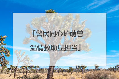 警民同心护萌兽 温情救助显担当