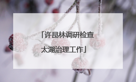 许昆林调研检查太湖治理工作