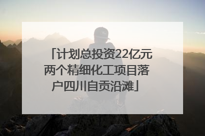 计划总投资22亿元 两个精细化工项目落户四川自贡沿滩