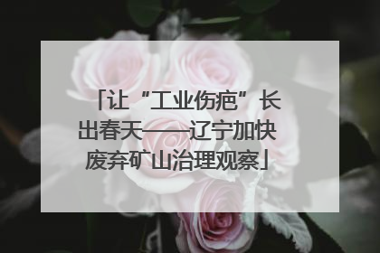 让“工业伤疤”长出春天——辽宁加快废弃矿山治理观察