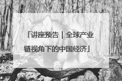 讲座预告｜全球产业链视角下的中国经济