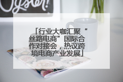 行业大咖汇聚“丝路电商”国际合作对接会，热议跨境电商产业发展