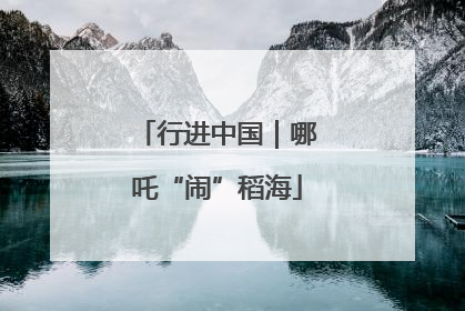 行进中国｜哪吒“闹”稻海