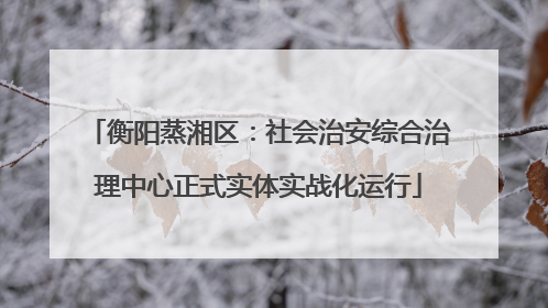 衡阳蒸湘区：社会治安综合治理中心正式实体实战化运行