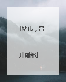 褚伟，晋升副部