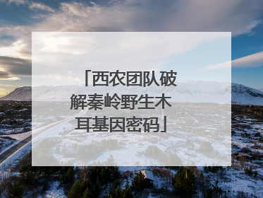 西农团队破解秦岭野生木耳基因密码