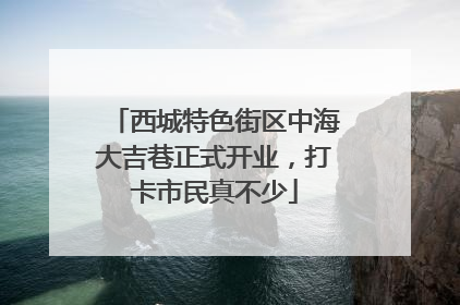 西城特色街区中海大吉巷正式开业，打卡市民真不少