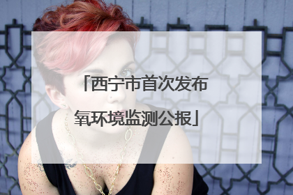 西宁市首次发布氧环境监测公报