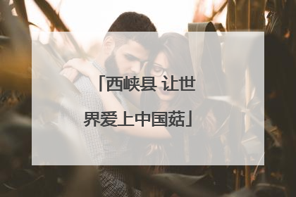 西峡县 让世界爱上中国菇
