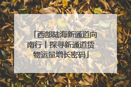 西部陆海新通道向南行丨探寻新通道货物运量增长密码