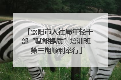 襄阳市人社局年轻干部“赋能提质”培训班第三期顺利举行