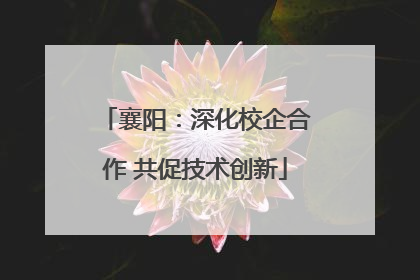 襄阳：深化校企合作 共促技术创新