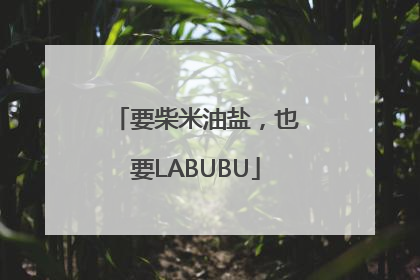要柴米油盐，也要LABUBU